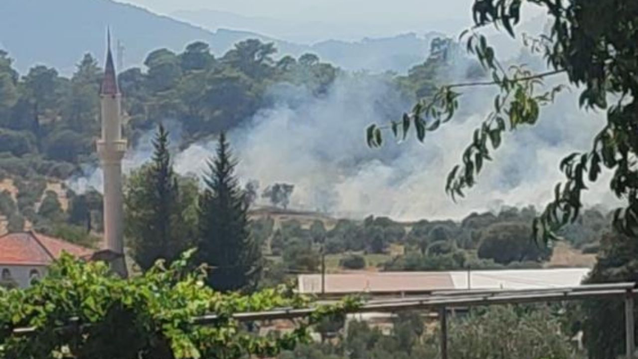 Dalaman’da orman yangını: Kontrol altına alındı
